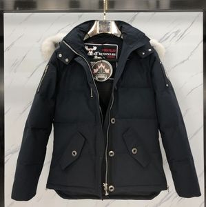 Moose knuckles Black hooded down jacket